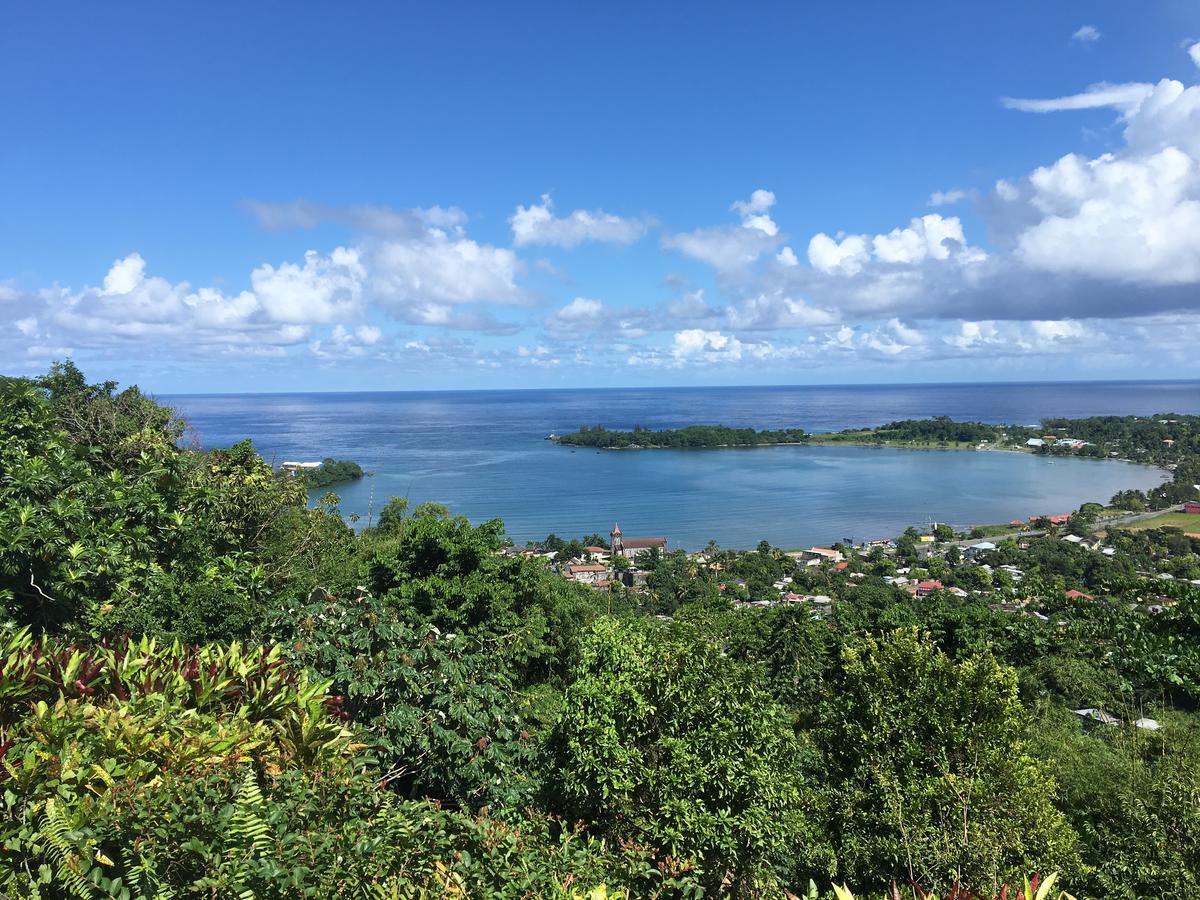 Treetops Villa Port Antonio Exterior foto